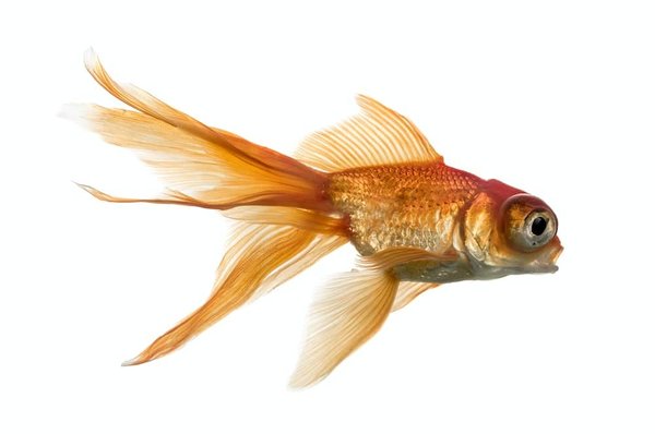 Comment choisir le bon rouge à lèvres pour votre teint de peau ?